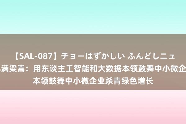 【SAL-087】チョーはずかしい ふんどしニューハーフ 2 度小满梁嵩：用东谈主工智能和大数据本领鼓舞中小微企业杀青绿色增长