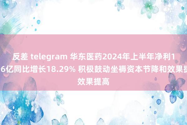 反差 telegram 华东医药2024年上半年净利16.96亿同比增长18.29% 积极鼓动坐褥资本节降和效果提高