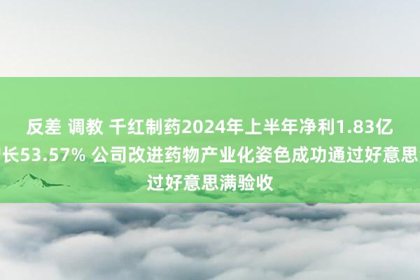 反差 调教 千红制药2024年上半年净利1.83亿同比增长53.57% 公司改进药物产业化姿色成功通过好意思满验收