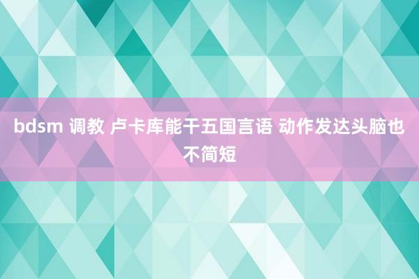 bdsm 调教 卢卡库能干五国言语 动作发达头脑也不简短