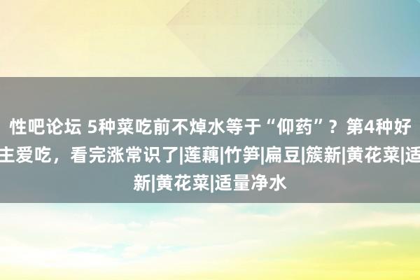 性吧论坛 5种菜吃前不焯水等于“仰药”？第4种好多东谈主爱吃，看完涨常识了|莲藕|竹笋|扁豆|簇新|黄花菜|适量净水